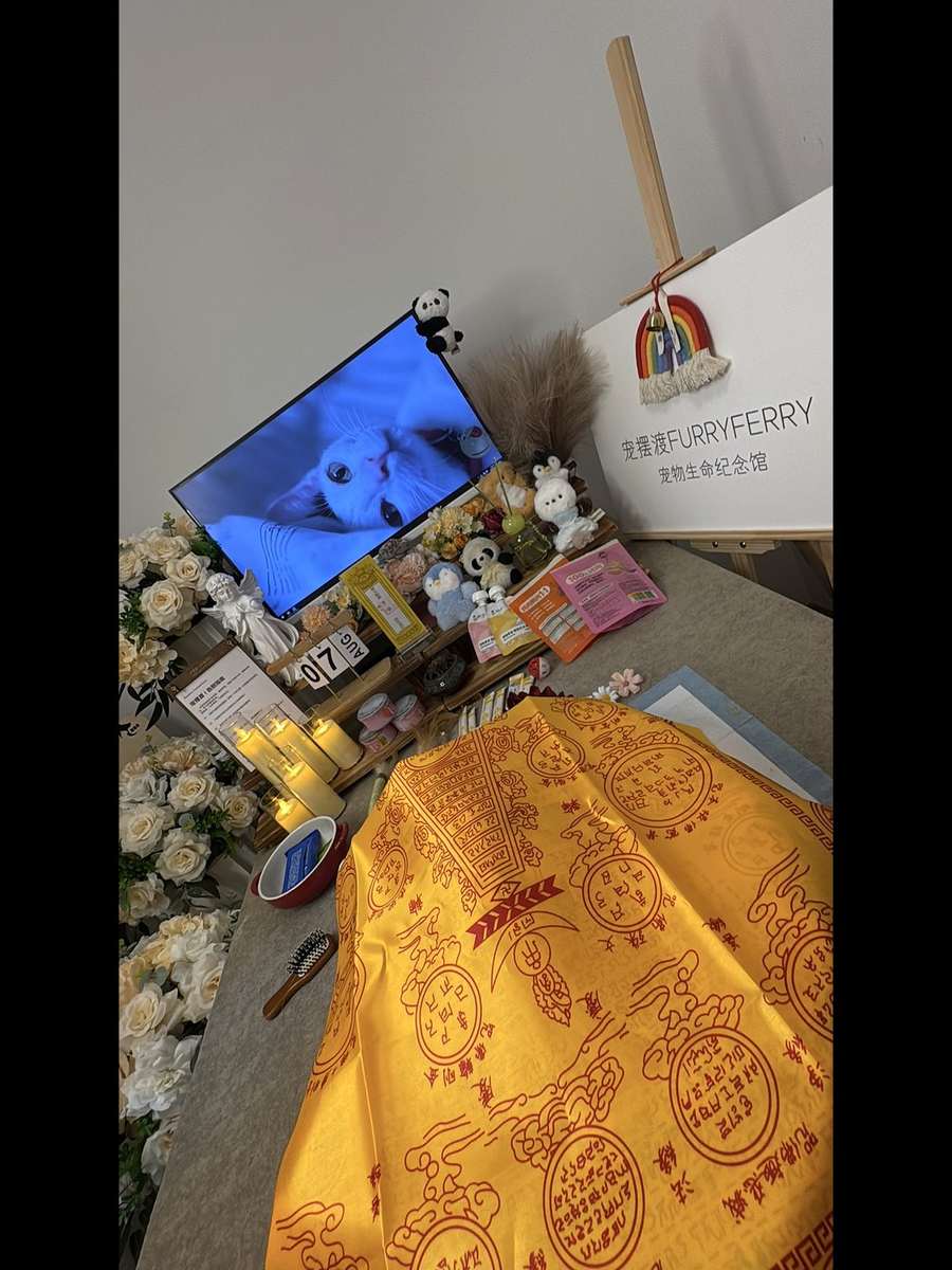 长沙宠物单独火化